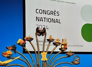 SNCEA/CFE-CGC: la dynamique d’un syndicat